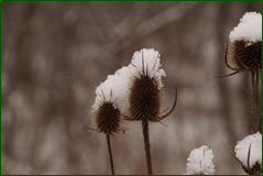 0_104d74_461bcf38_orig.png
