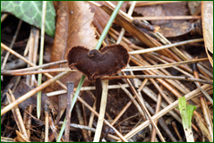 0_104e01_d1d56173_orig.png