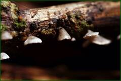 0_fff03_9837ad46_orig.jpg