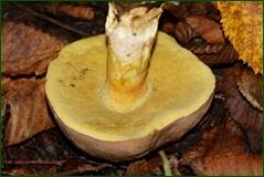 0_100015_f69eb7b1_orig.jpg
