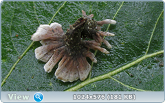 0_12c20d_5f20f0f5_orig.png