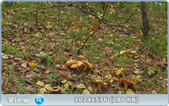 0_12df56_29e67d89_orig.png