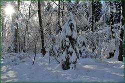 0_15628e_ed2e82c1_orig.jpg