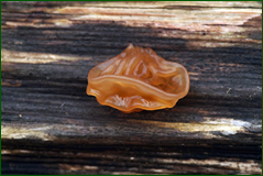 0_104e5f_565cf376_orig.png