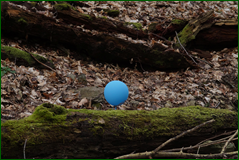 0_104fc7_41f18c3d_orig.png