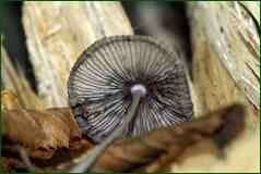 0_100720_4967e8ab_orig.jpg