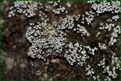 0_100788_9d05f38a_orig.jpg