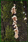0_104d68_ec56e0f_orig.png