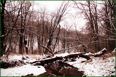 0_104d8e_1dfc4397_orig.png