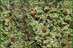 0_104ef5_13f8edbe_orig.png