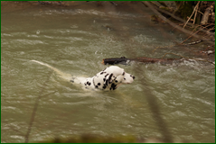 0_104f23_1e8c83e6_orig.png
