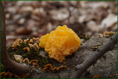 0_104f5f_a1776038_orig.png