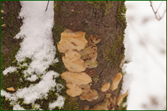 0_104d62_7820eb06_orig.png