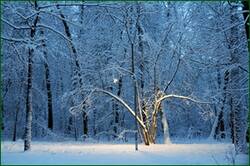 0_155f66_4d3177bb_orig.jpg