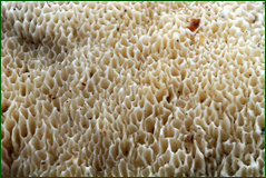 0_103f41_5ee110b6_orig.png