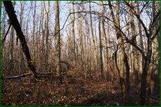 0_c5d21_18365981_orig.jpg