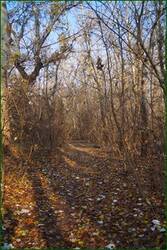 0_c5d29_d934afe9_orig.jpg