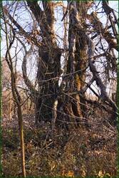 0_c5d2f_dfdcb931_orig.jpg
