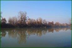 0_c5d4b_83c6948e_orig.jpg