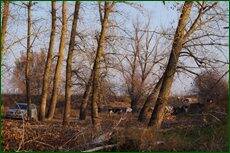 0_c5d8f_f61cd177_orig.jpg