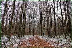 0_1528f0_7995c084_orig.jpg