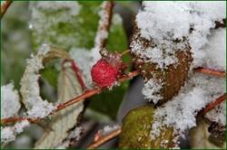 0_1526ab_72e37637_orig.jpg