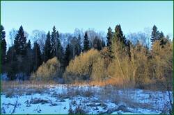 0_155682_4991205d_orig.jpg