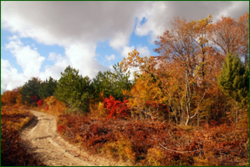 0_1038ea_e79f2cd6_orig.png