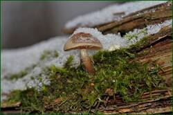 0_153b6f_992839c0_orig.jpg