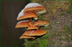 0_153b7d_75e1ef26_orig.jpg