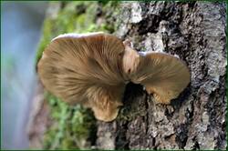 0_152750_dcbe52d6_orig.jpg