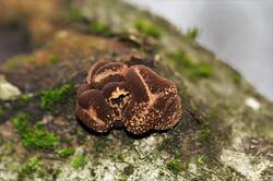 0_154aeb_d71f9074_orig.jpg