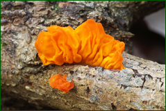 0_104080_ad81aa4b_orig.png