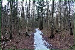 0_1554ea_b940975c_orig.jpg