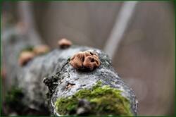 0_155534_de7d5198_orig.jpg