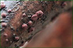 0_153b3f_397ca8e_orig.jpg