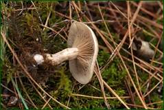 0_102f0d_15776597_orig.jpg