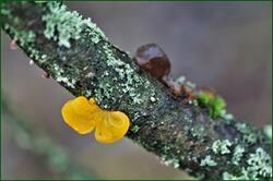 0_153b61_bf4bef18_orig.jpg