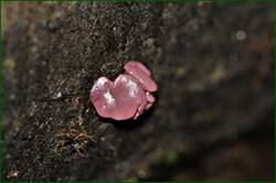 0_154ab6_b31b684d_orig.jpg