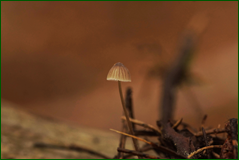 0_103878_14f73265_orig.png