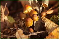 0_1025a0_47703047_orig.jpg