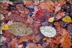 0_15269d_ba2f23a2_orig.jpg