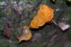 0_15274e_57623627_orig.jpg
