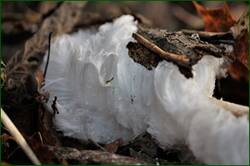 0_152760_b98d633d_orig.jpg