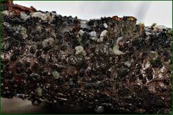 0_154ad4_9d84b002_orig.jpg