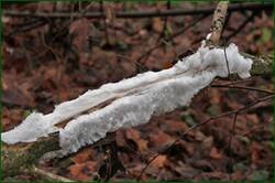 0_15327d_692639c6_orig.jpg