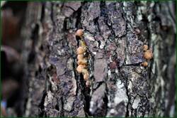 0_152723_41c55742_orig.jpg