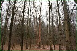 0_153eb0_427a2a89_orig.jpg