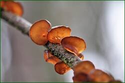 0_153b5f_bd991591_orig.jpg