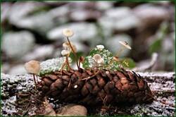 0_153b65_e53f494d_orig.jpg